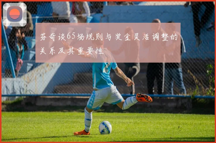 芬奇谈65场规则与奖金灵活调整的关系及其重要性