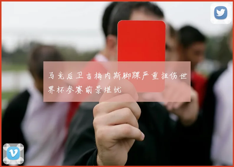 马竞后卫吉梅内斯脚踝严重扭伤世界杯参赛前景堪忧