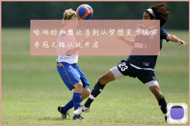 哈珀的加盟让马刺从梦想变为现实夺冠之路从此开启